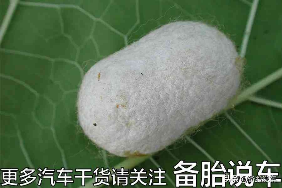 奔驰网络负面评价与市场销量反差现象剖析