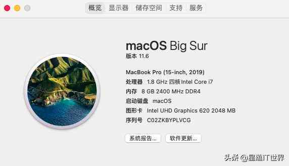深度体验黑苹果：一周真实使用后的全面评测与实用建议