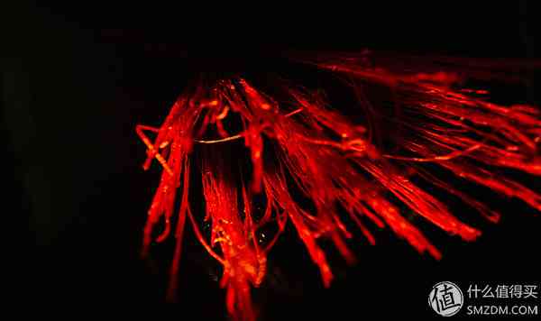 索尼RX100怎么样？也谈谈自己使用的SONY索尼DSC-RX100黑卡数码相机